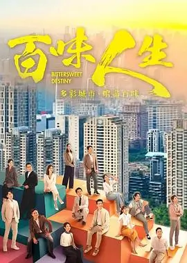 久久精品视频高分剧集长风渡口海报